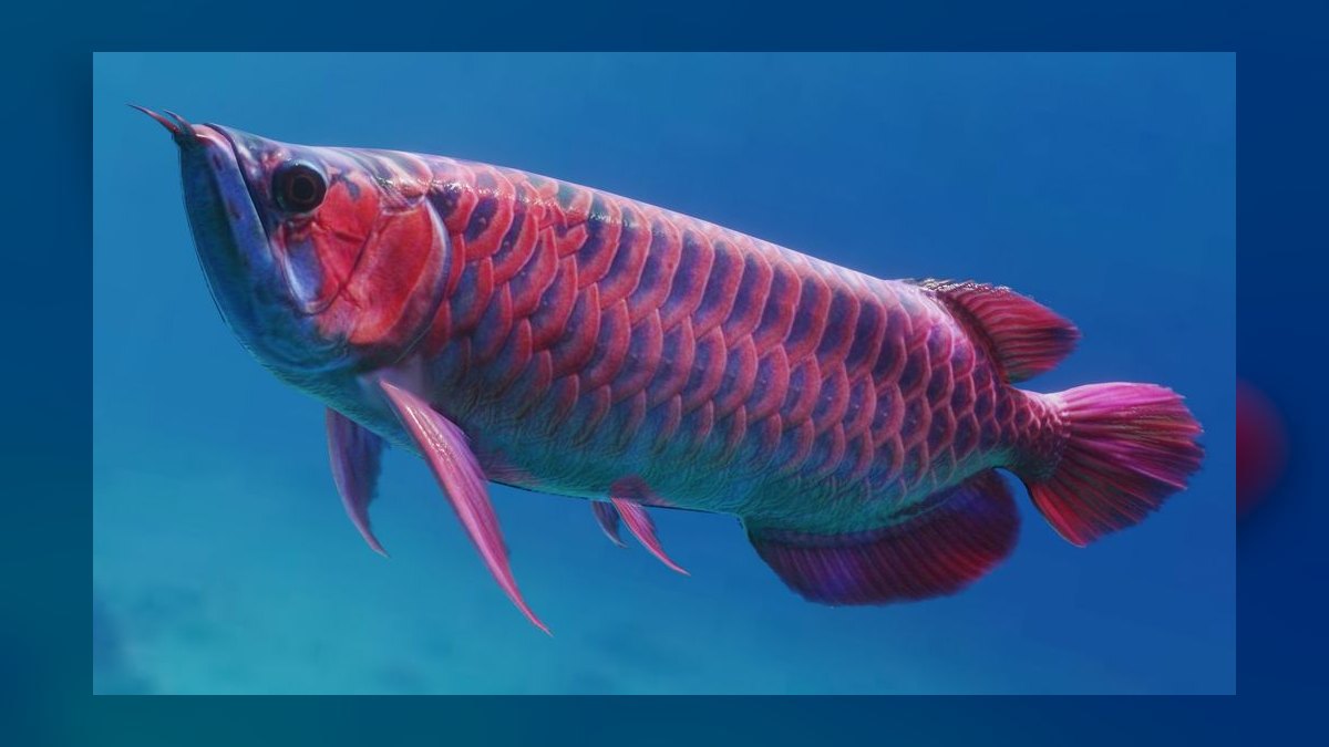 Top 10 Arowana Aquarium Species 2027 — figure 1