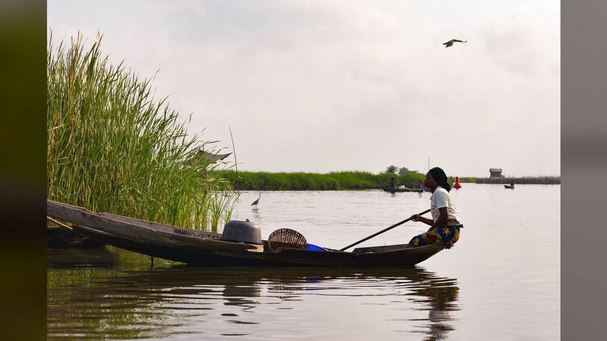 Top 10 West African Killifish Species 2027 — figure 2