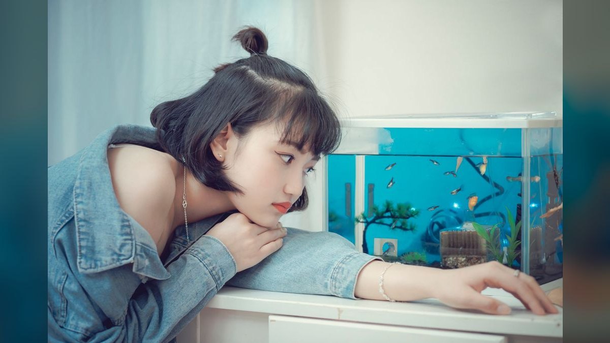 Top 10 Asian Nano Fish for Shrimp Tanks 2027 — figure 4