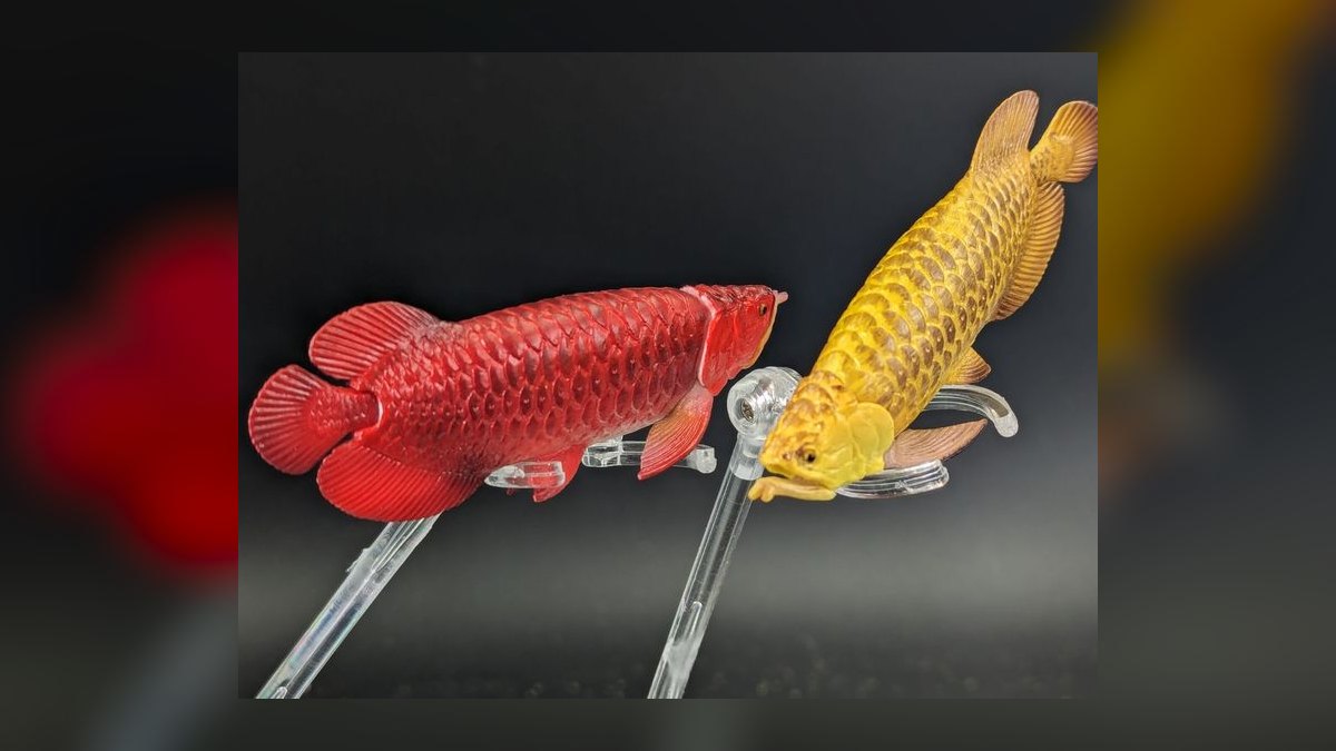 Top 10 Monster Fish for Large Tanks 2027