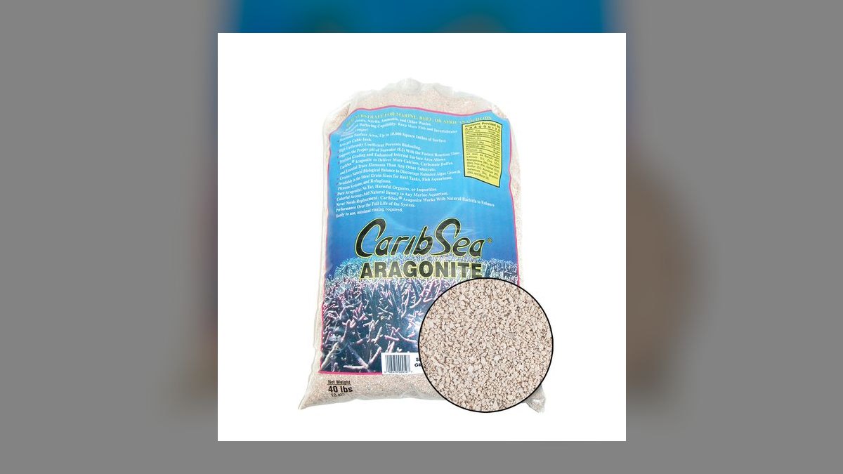 Top 10 Leopard Wrasse Sand Sifters 2027 — figure 10