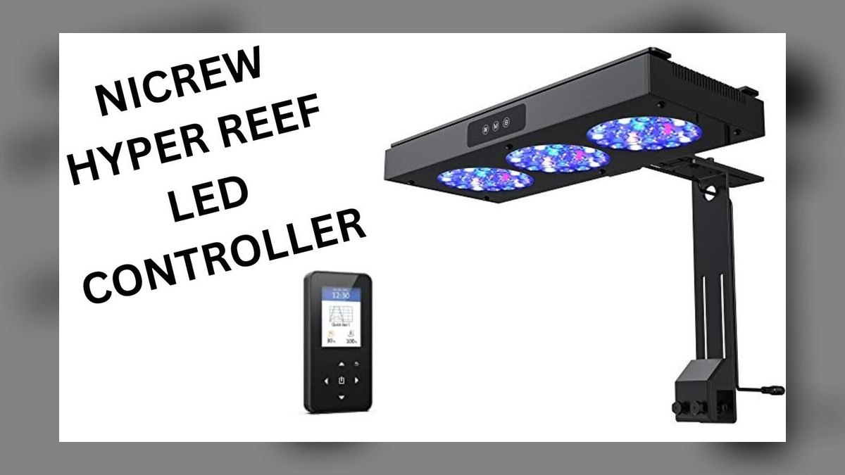 Top 10 Nano Reef Tank Builds for Beginners in 2027 — figure 9