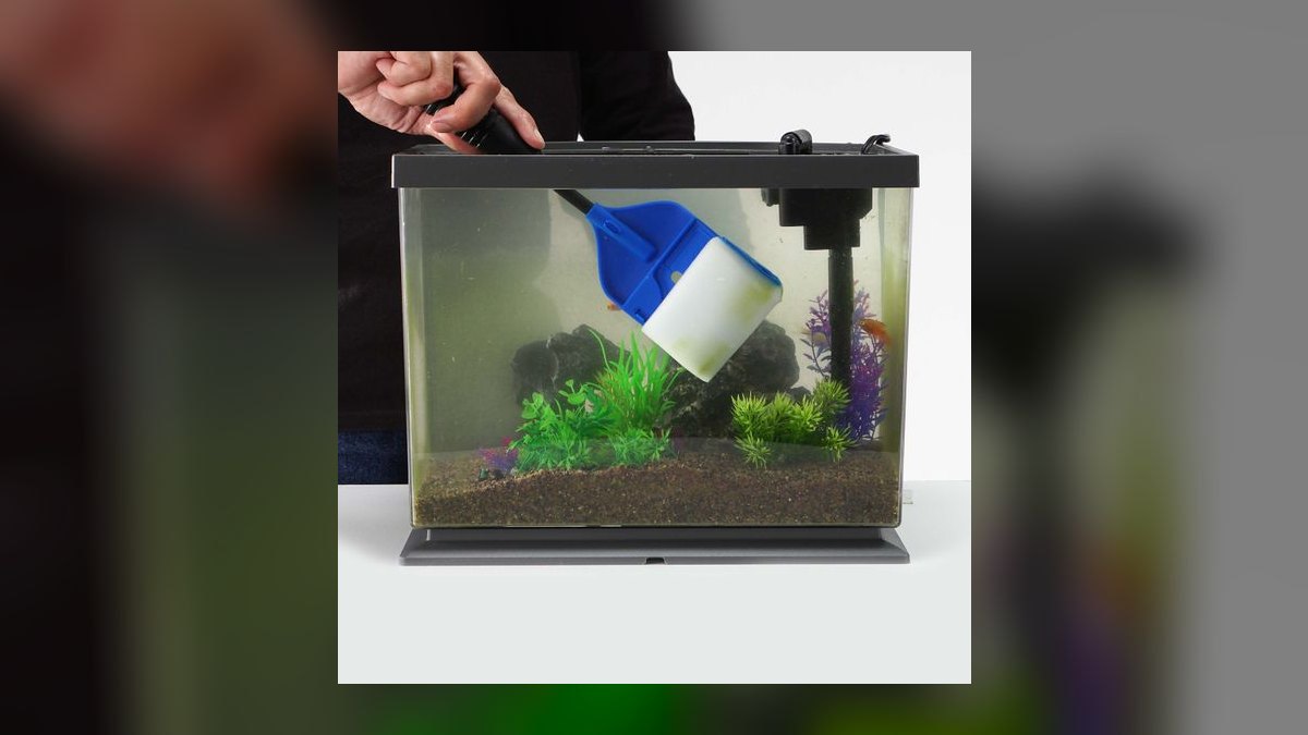 Top 10 Aquarium Glass Scrapers with Long Handles for Deep Tanks (2027) — figure 1