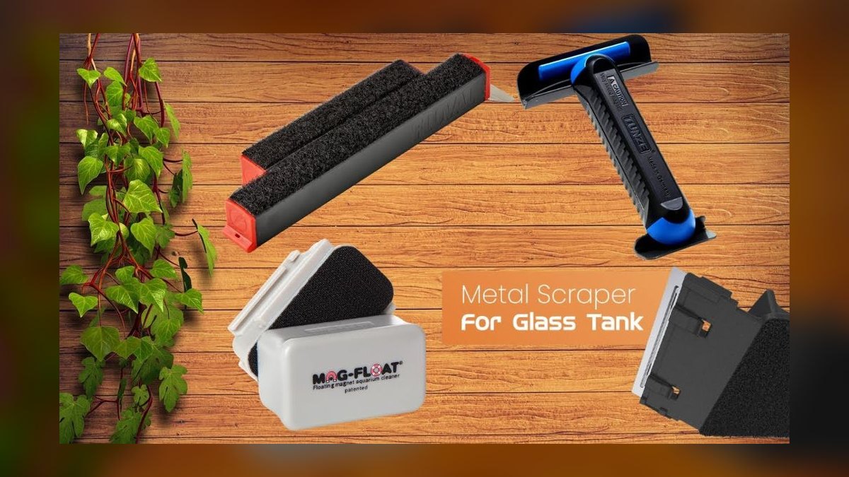 Top 10 Aquarium Glass Scrapers with Long Handles for Deep Tanks (2027) — figure 9