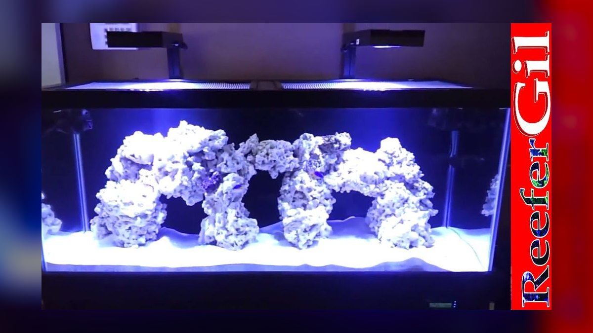 How to cycle a saltwater aquarium without using live rock — figure 6