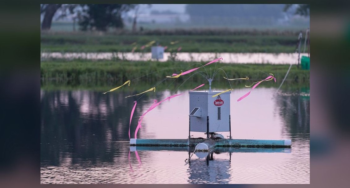 Best automatic fish feeder for pelleted food that doesn't clog or overfeed?