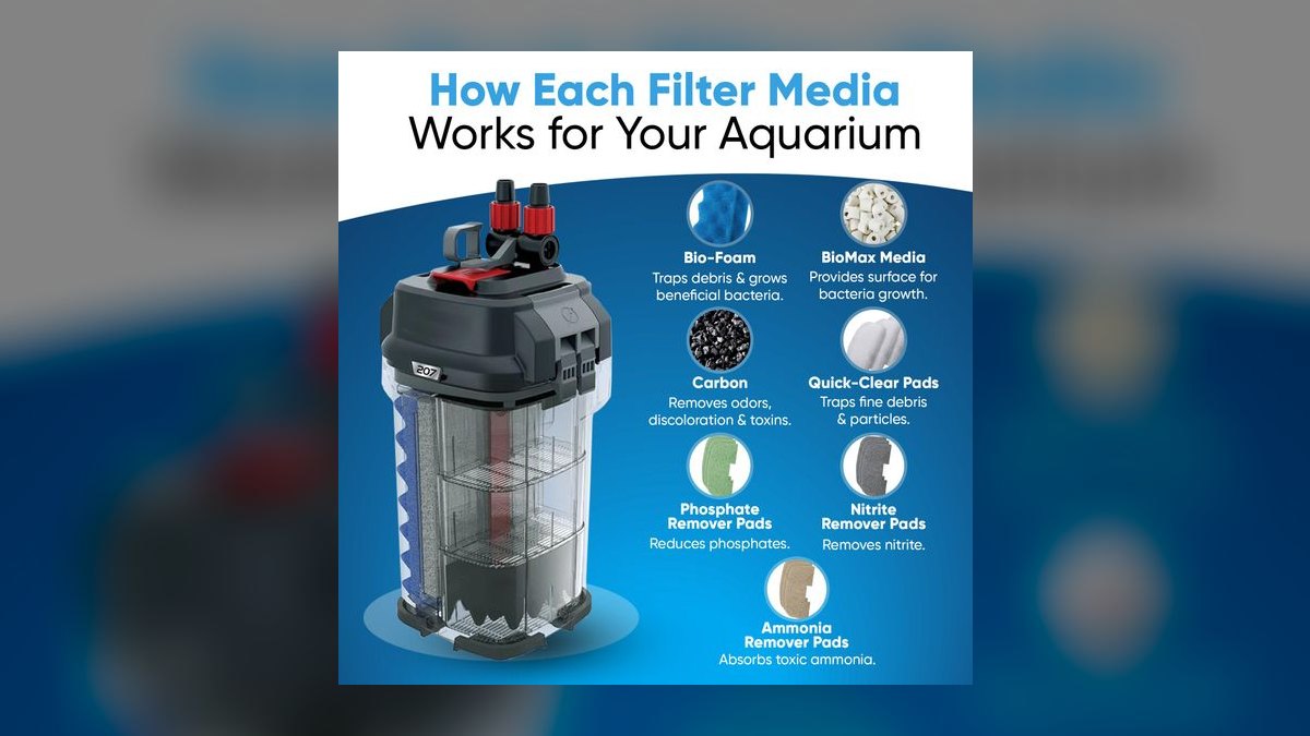 How often should I replace the filter media in a sponge filter for a fry tank — figure 3