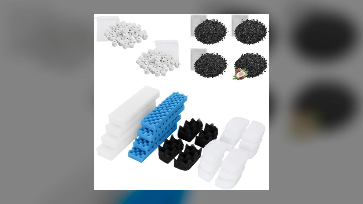 How often should I replace the filter media in a sponge filter for a fry tank — figure 7