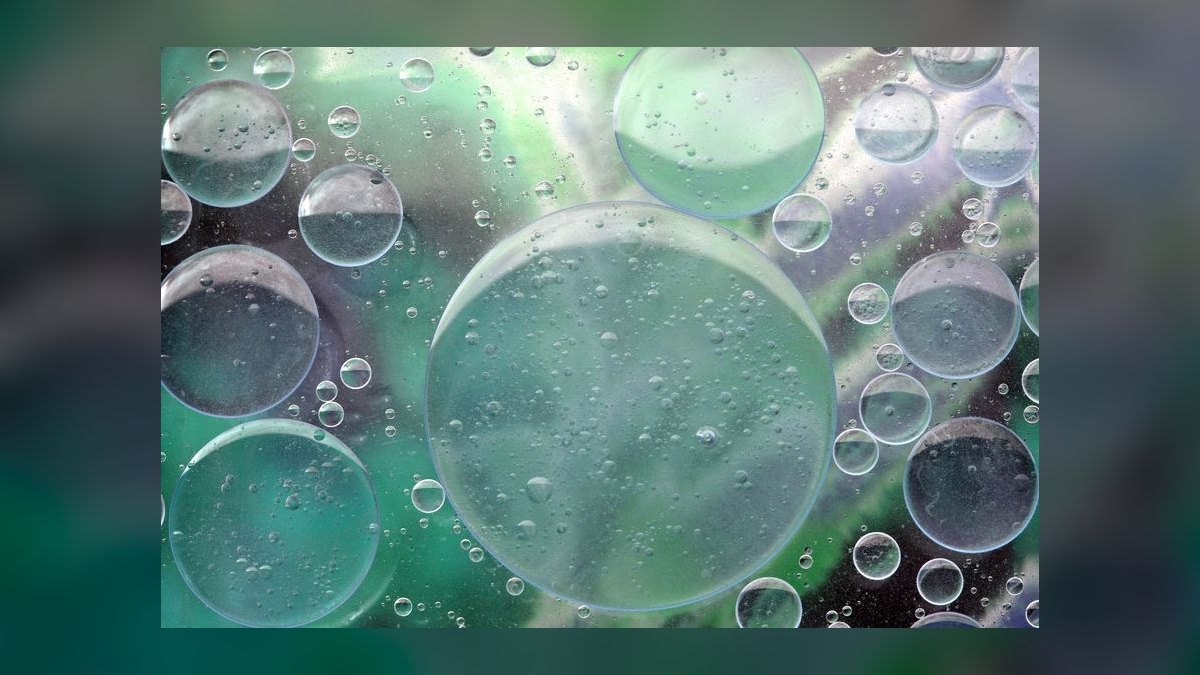 Can I use reverse osmosis water for a freshwater community tank — figure 6