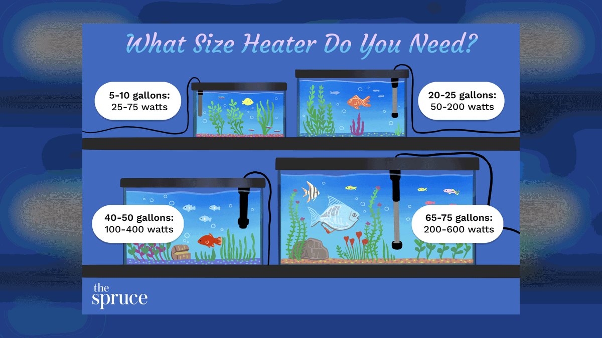 What size aquarium heater is safe for a 20-gallon tall tank — figure 1