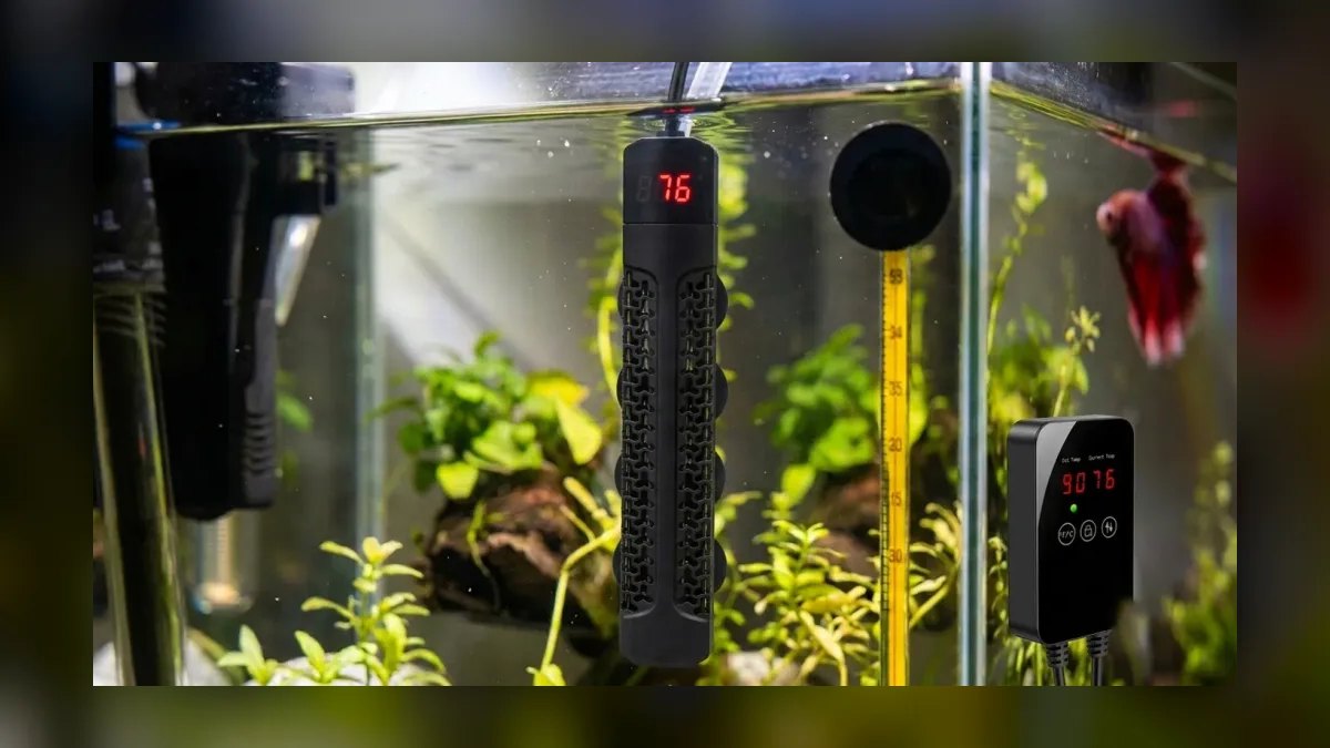 What size aquarium heater is safe for a 20-gallon tall tank — figure 2
