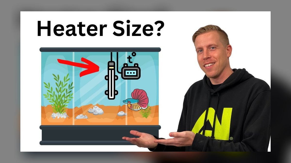 What size aquarium heater is safe for a 20-gallon tall tank — figure 5