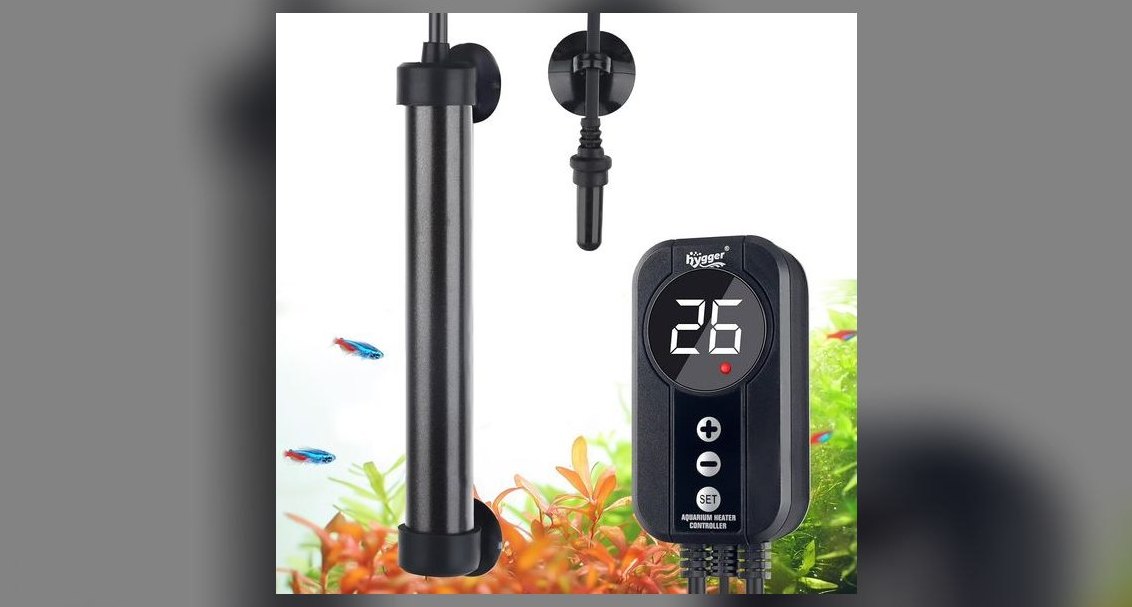 What size aquarium heater is safe for a 20-gallon tall tank?