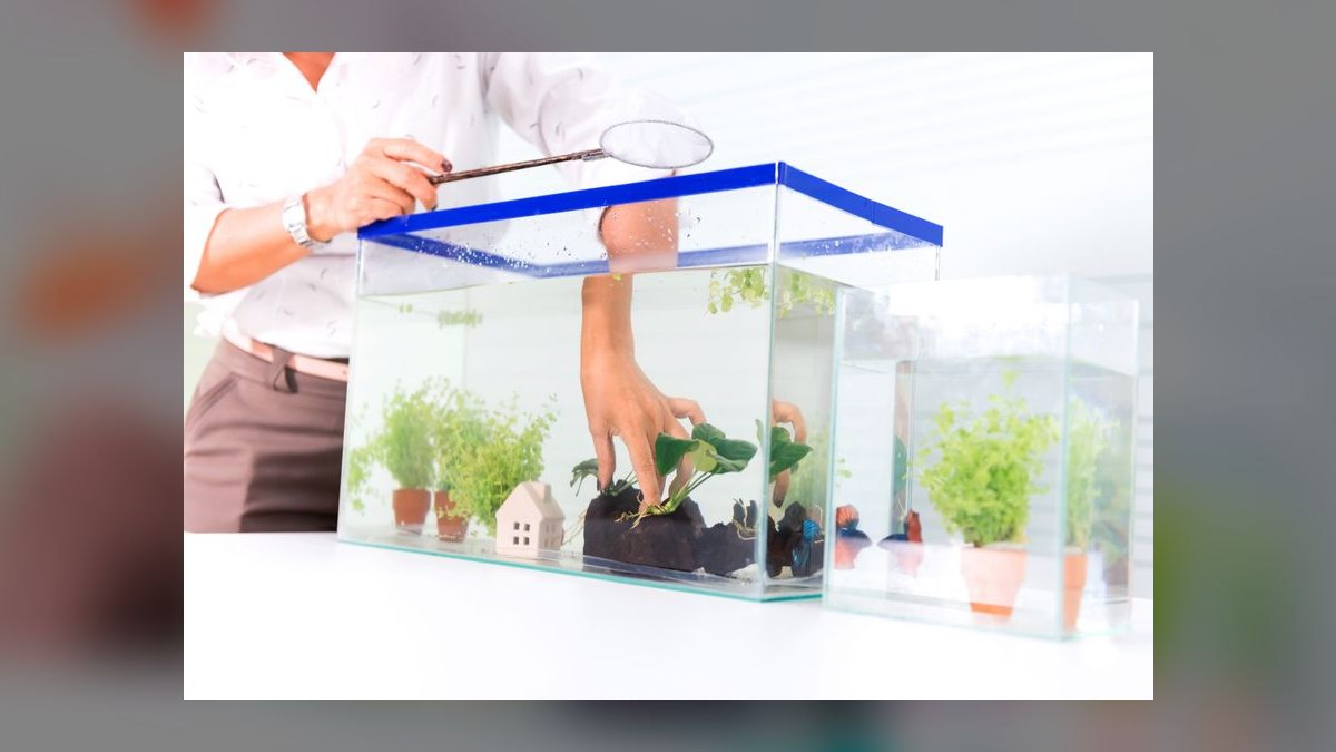 Top 10 Mistakes to Avoid When Setting Up a Freshwater Aquarium in 2027 — figure 10