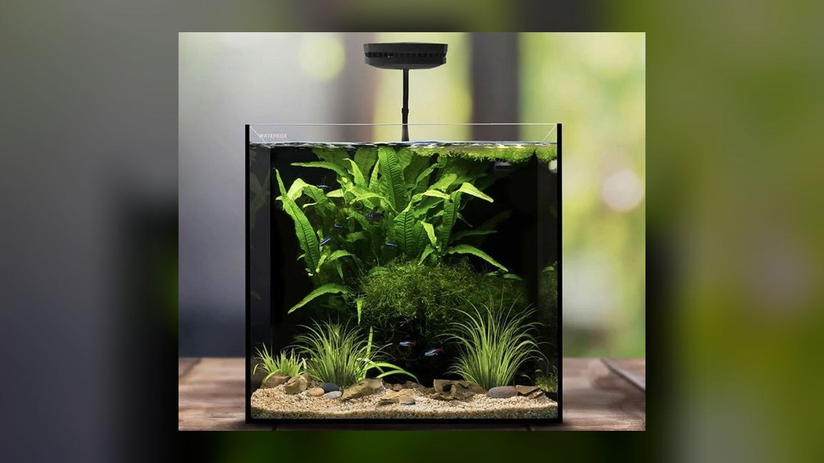 Top 10 Nano Reef Tanks for Beginners in 2027 — figure 4