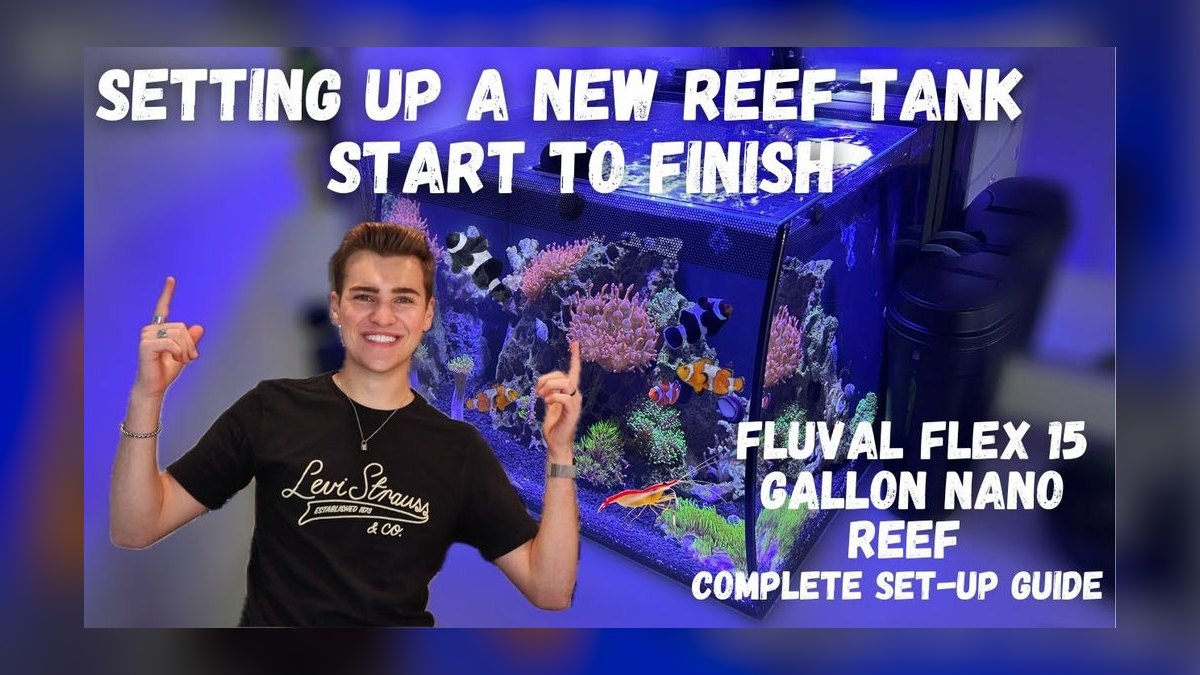 Top 10 Nano Reef Tanks for Beginners in 2027 — figure 5
