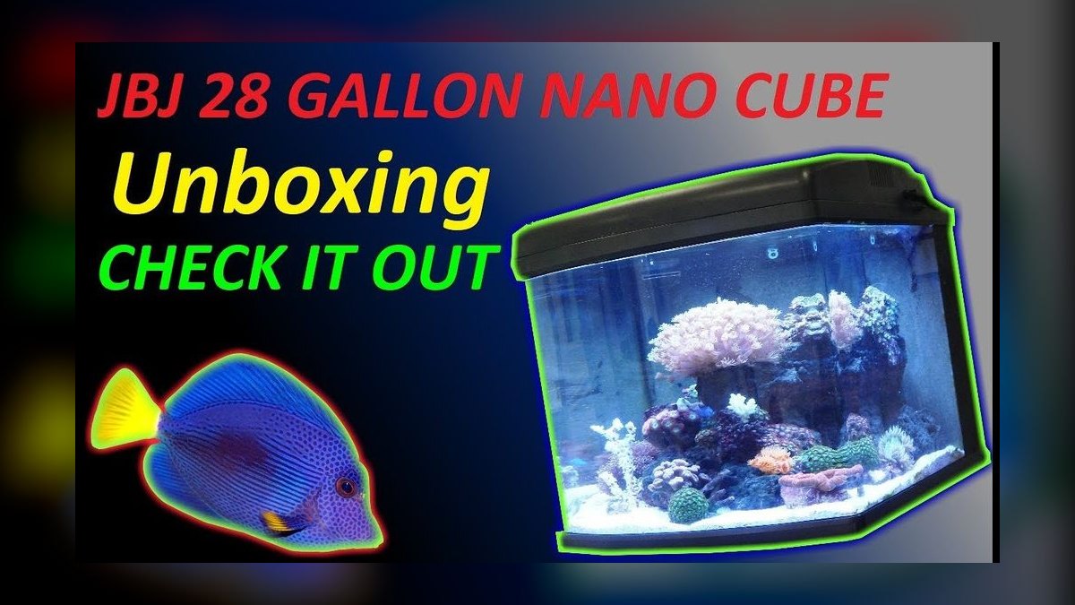 Top 10 Nano Reef Tanks for Beginners in 2027 — figure 6