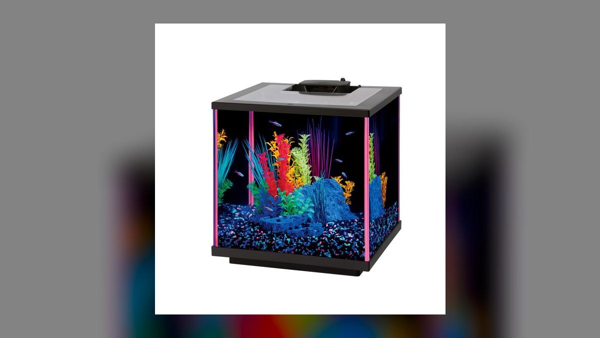 Top 10 Nano Reef Tanks for Beginners in 2027 — figure 8