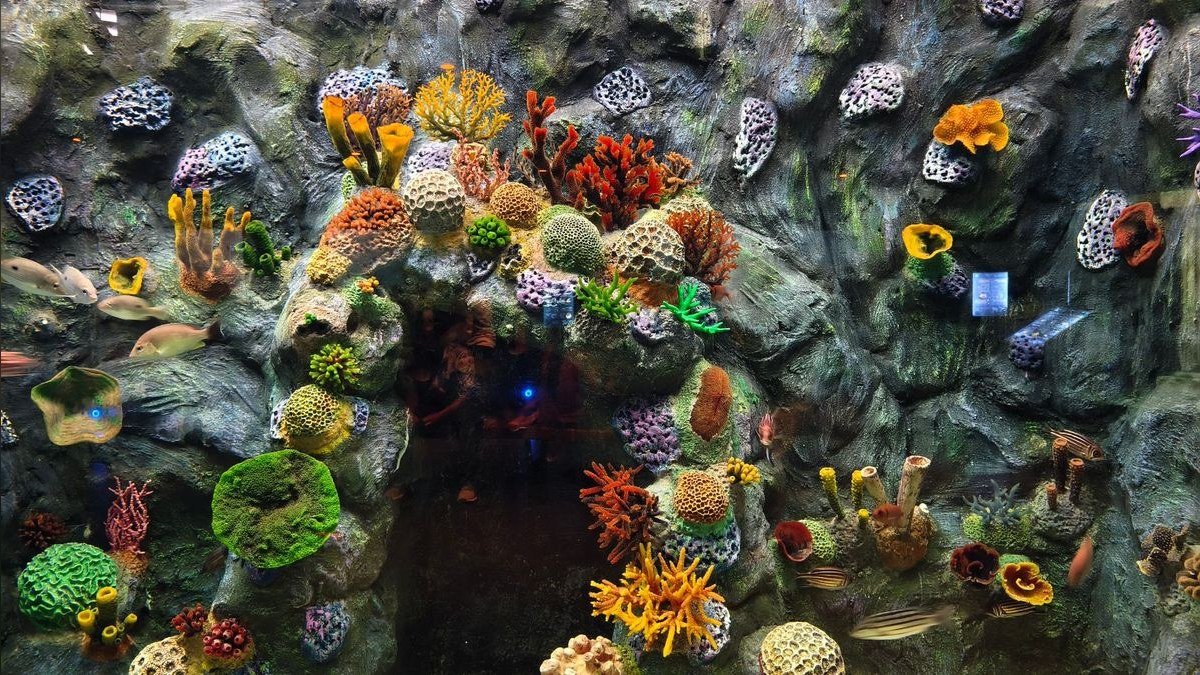 Top 10 Nano Reef Tanks for Beginners in 2027