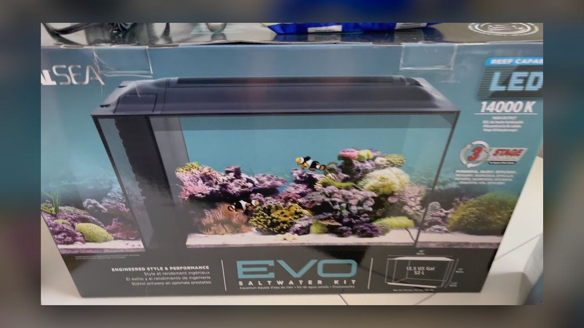 Top 10 Nano Reef Tanks for Beginners in 2027