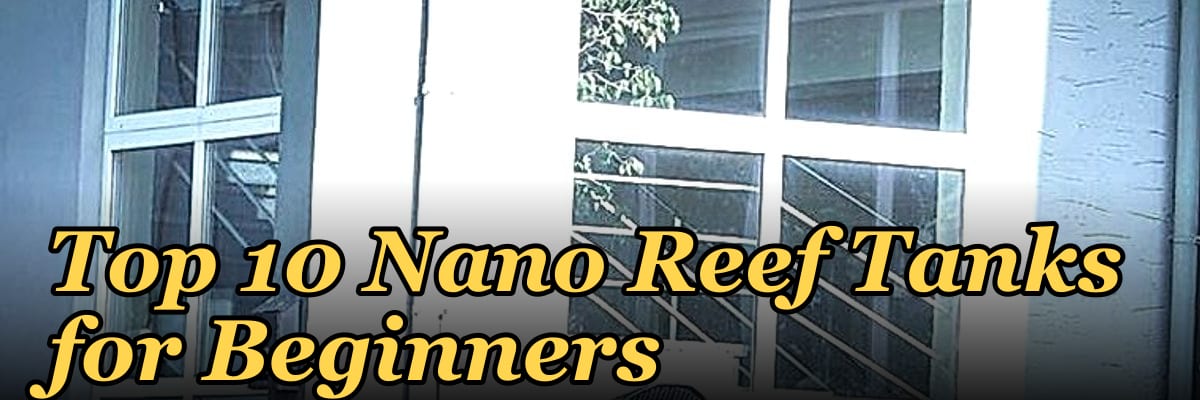 Top 10 Nano Reef Tanks for Beginners