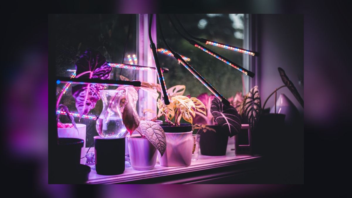 Top 10 LED Light Fixtures for Freshwater Plants in 2027