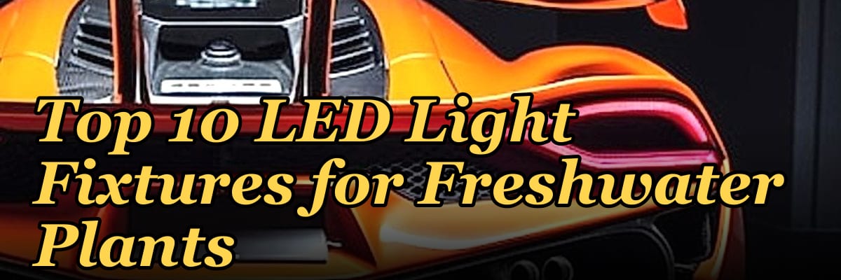 Top 10 LED Light Fixtures for Freshwater Plants