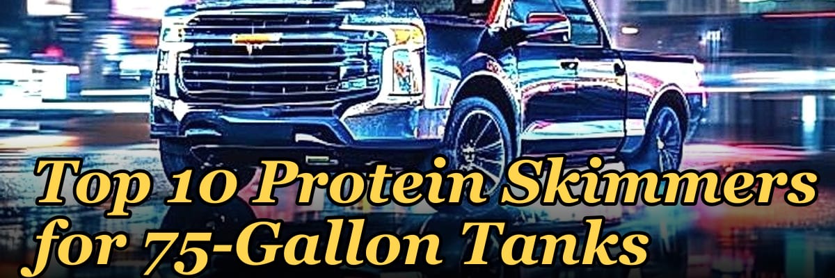 Top 10 Protein Skimmers for 75-Gallon Tanks