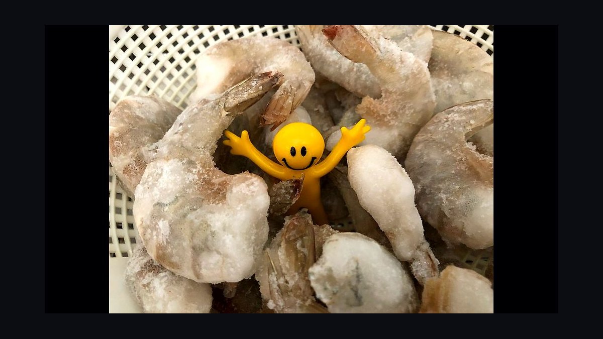 Top 10 Freshwater Shrimp Species for Beginners in 2027 — figure 5