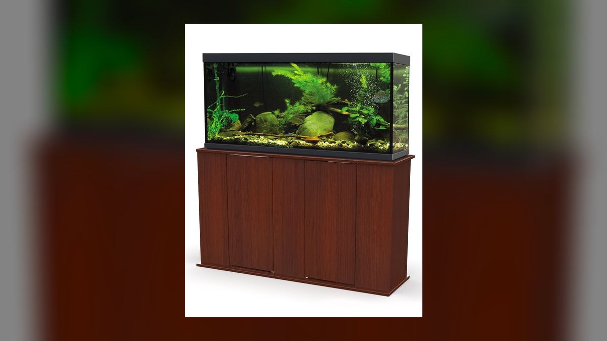Top 10 Aquarium Stands for 55-Gallon Tanks in 2027 — figure 10