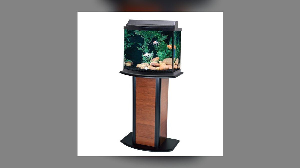 Top 10 Aquarium Stands for 55-Gallon Tanks in 2027 — figure 2