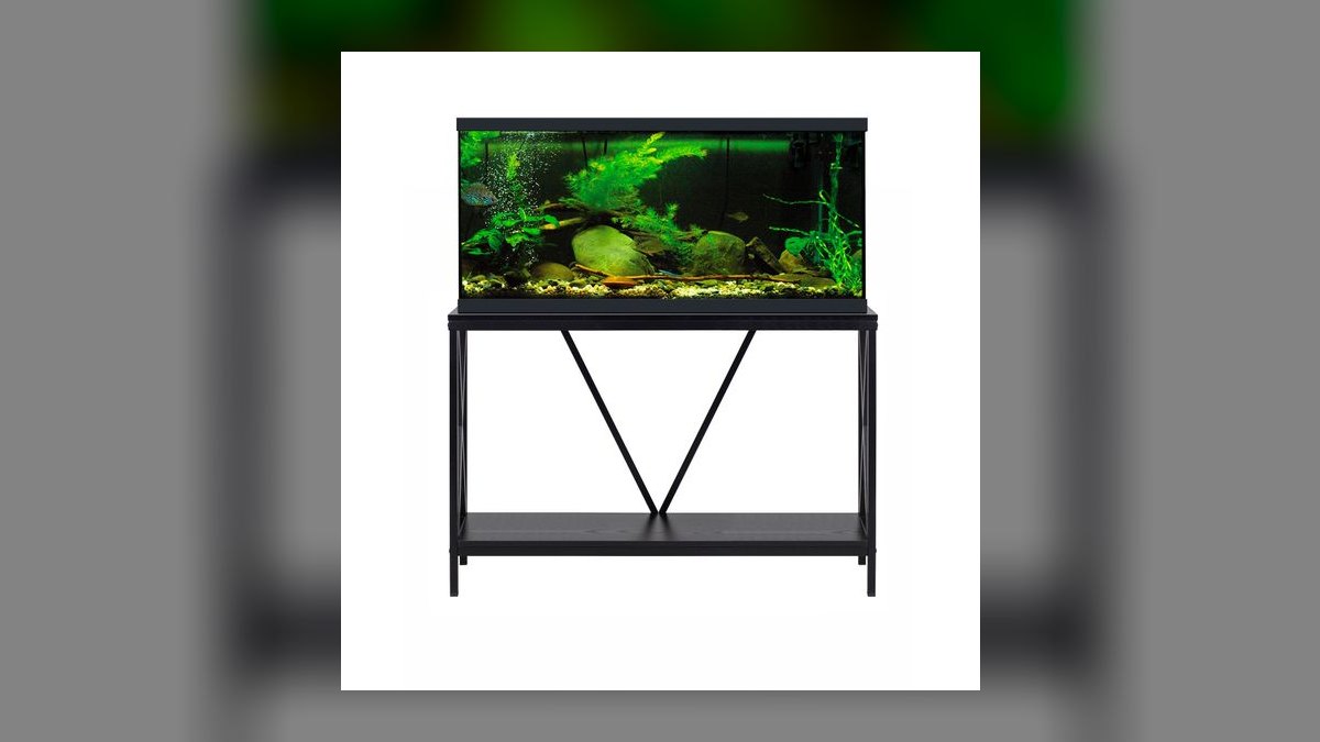 Top 10 Aquarium Stands for 55-Gallon Tanks in 2027 — figure 5