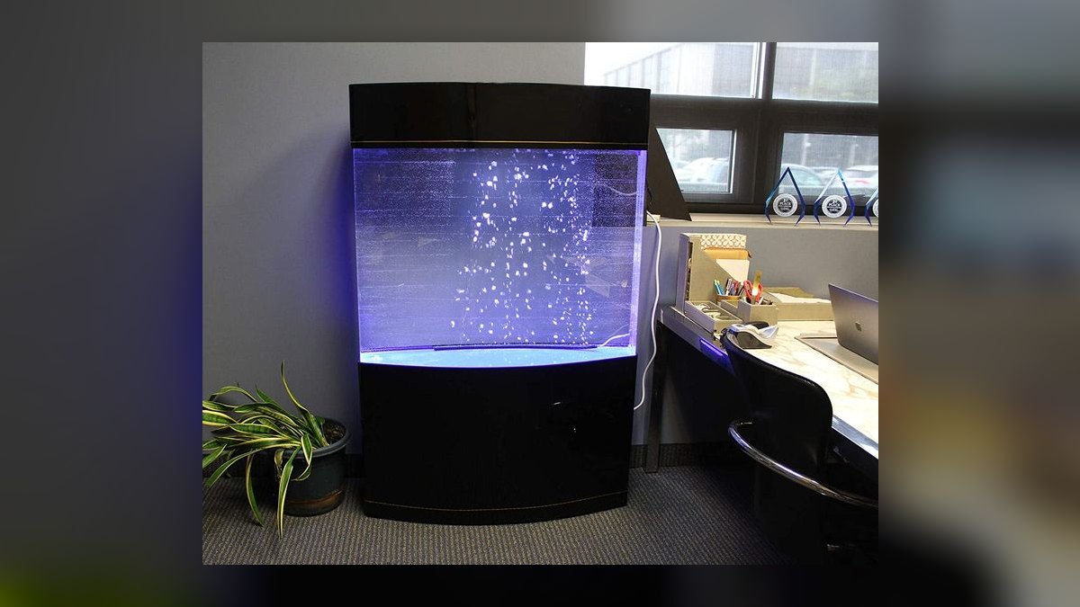 Top 10 Aquarium Stands for 55-Gallon Tanks in 2027 — figure 6