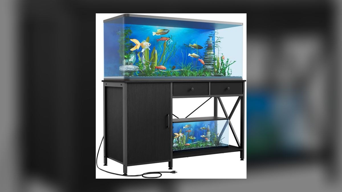 Top 10 Aquarium Stands for 55-Gallon Tanks in 2027 — figure 9