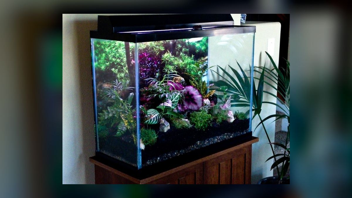 Top 10 Aquarium Stands for 55-Gallon Tanks in 2027