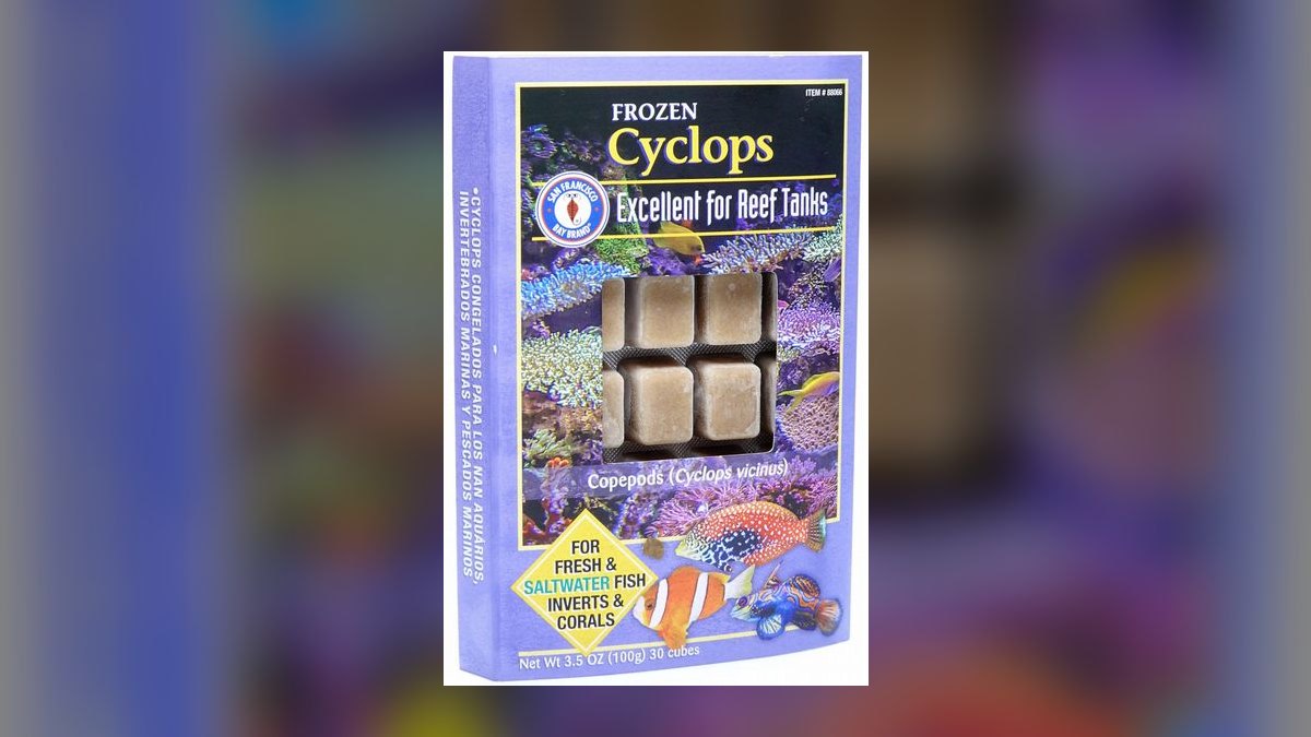 Top 10 Frozen Fish Foods for Omnivorous Species — figure 7