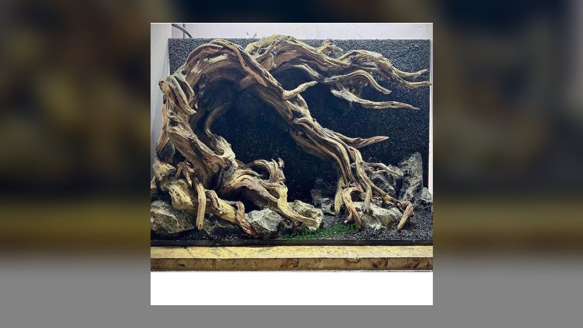 Top 10 Aquarium Driftwood Pieces for Hardscape in 2027