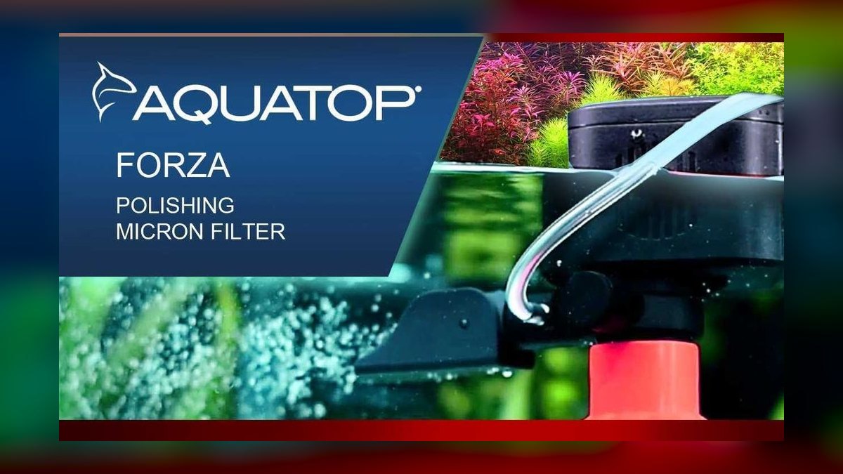 Top 10 Aquarium Canister Filters for Large Tanks — figure 10