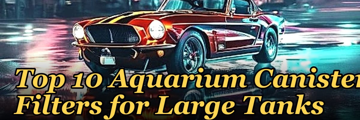 Top 10 Aquarium Canister Filters for Large Tanks