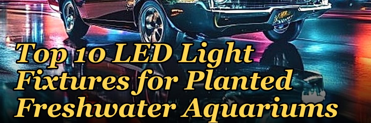 Top 10 LED Light Fixtures for Planted Freshwater Aquariums