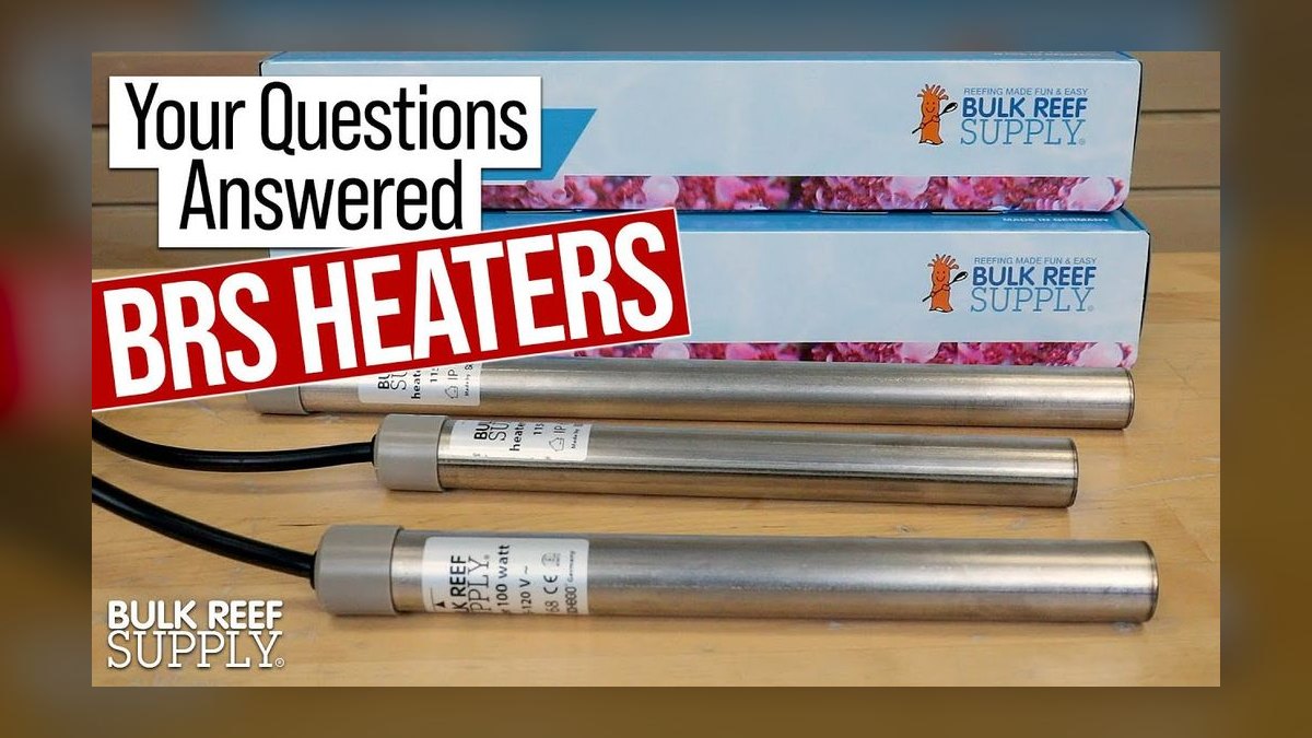 Top 10 Heater Brands for Reef Tanks in 2027 — figure 3