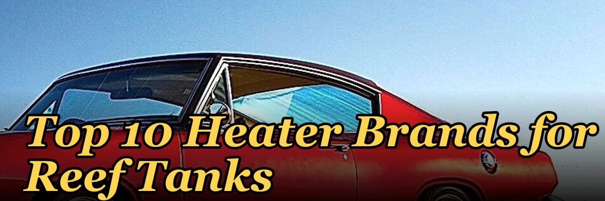 Top 10 Heater Brands for Reef Tanks