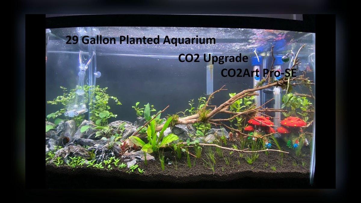 Top 10 Aquarium CO2 Systems for Planted Tanks in 2027 — figure 5