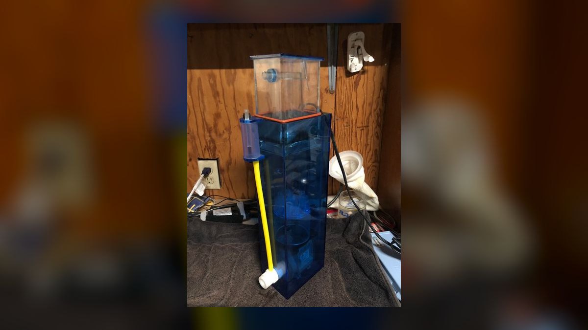 Top 10 Aquarium Sump Designs for Custom Builds in 2027 — figure 10
