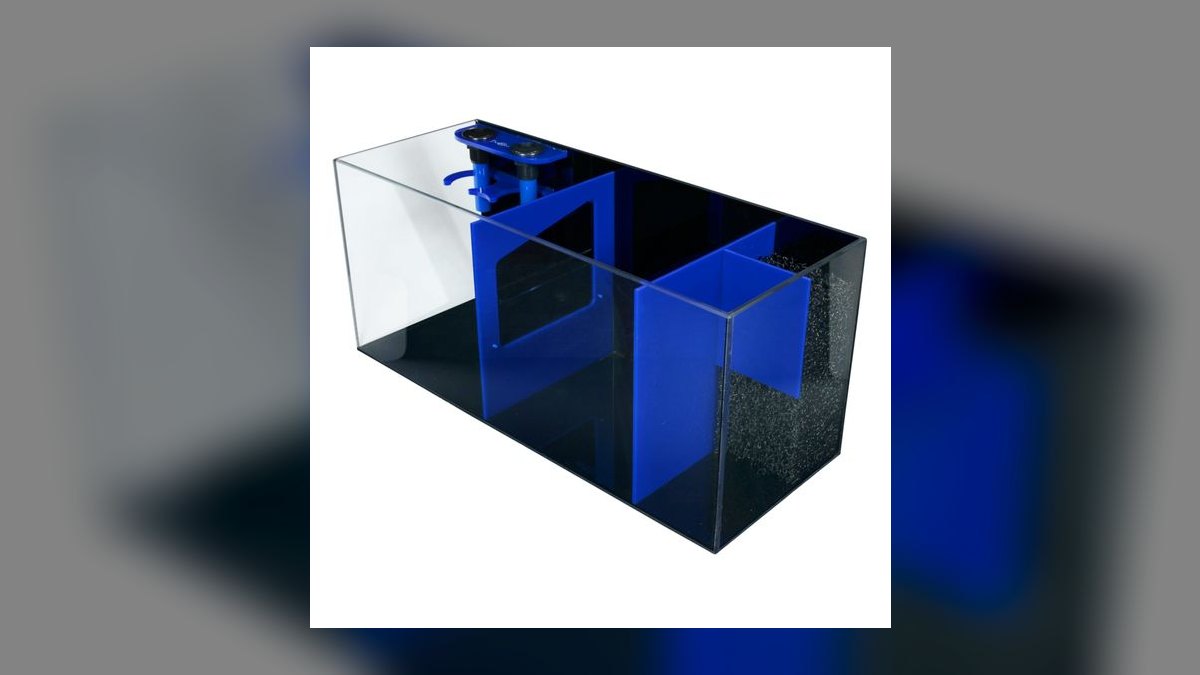 Top 10 Aquarium Sump Designs for Custom Builds in 2027 — figure 6