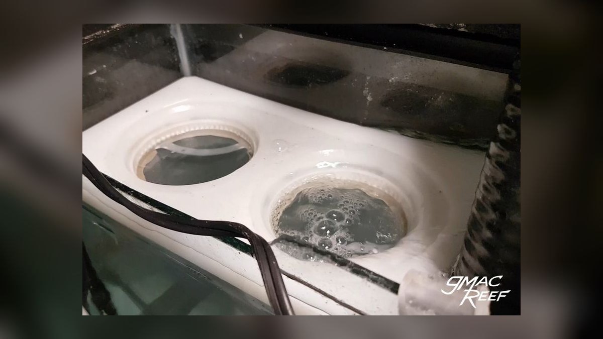 Top 10 Aquarium Sump Designs for Custom Builds in 2027 — figure 9