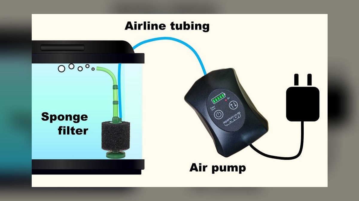 Top 10 Foam Filter Sponges for Fry Tanks in 2027 — figure 10