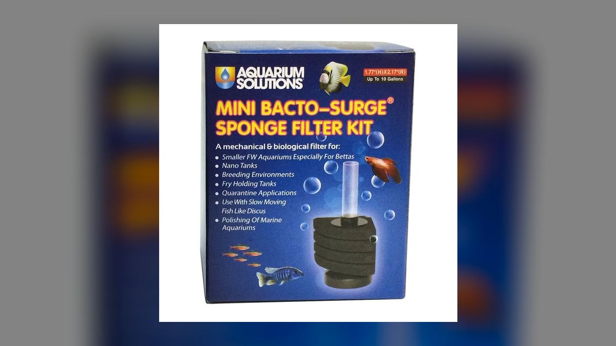 Top 10 Foam Filter Sponges for Fry Tanks in 2027 — figure 7