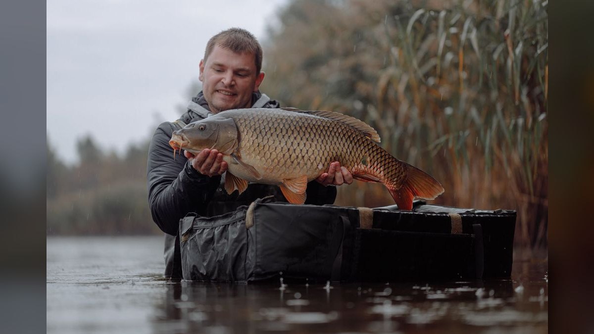 Top 10 Automatic Fish Feeders for Vacation — figure 5