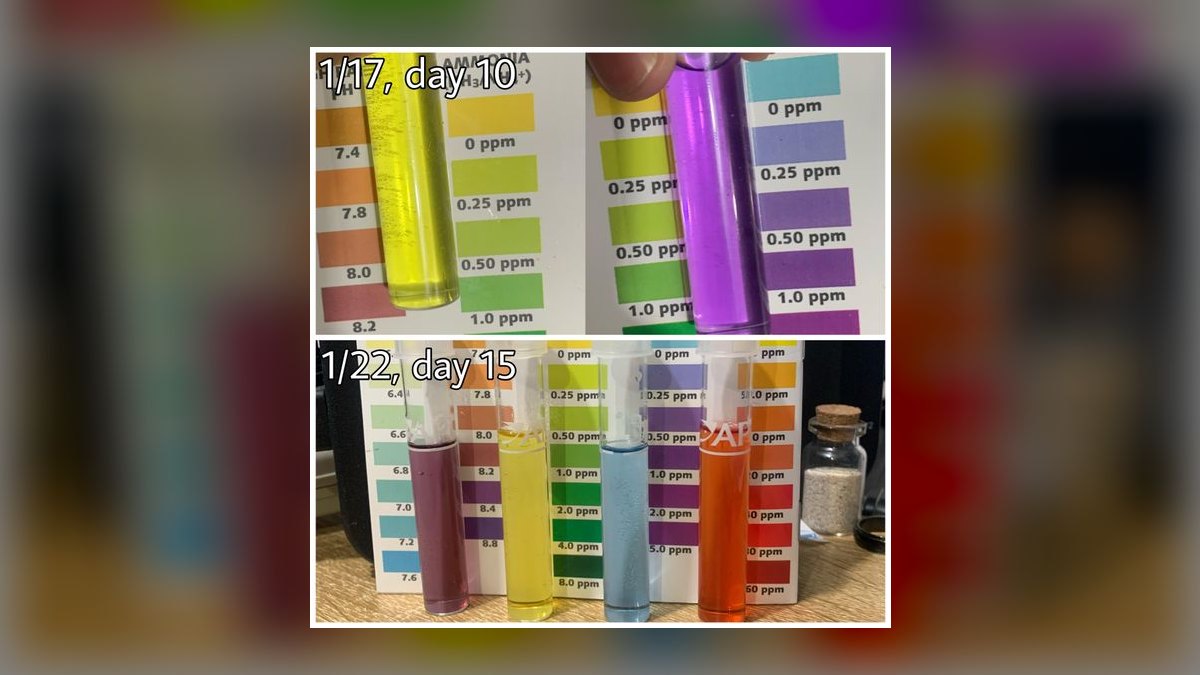 Top 10 Live Rock Curing Methods for Saltwater Tanks in 2027 — figure 1